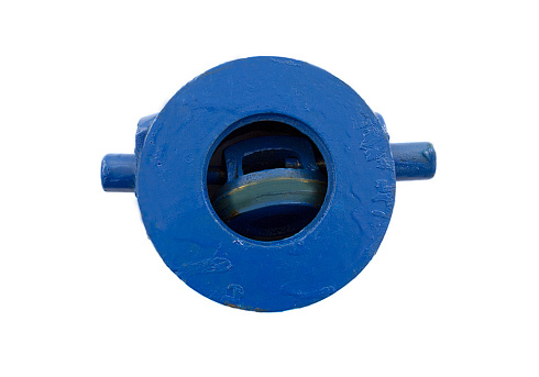 Клапан обратный 19ч21(01)бр 100