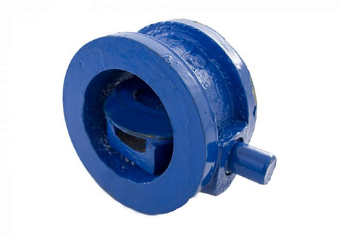 Клапан обратный 19ч21(01)бр 100