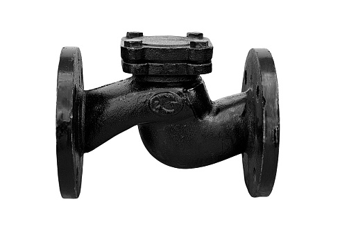 Клапан обратный Ci 16кч9нж 80 