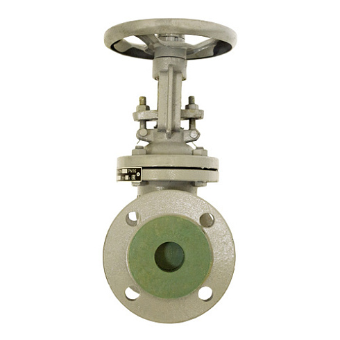 Задвижка 30с41нж 300