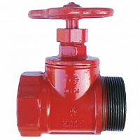 Клапан пожарный чугун прямой DN50 PN16 ВР/НР (класс гермет. А)